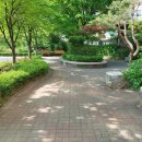 서울덕의초등학교 네이버블로그
