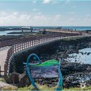 신창싱계물 | 제주 싱계물공원 솔직 후기 낮에 가도 예쁘냐고요? (ft. 주차, 아쉬웠던 점)