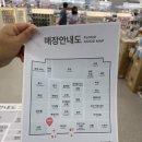 덕진약국 | [다이소 하나로마트전주점] 이렇게 넓었나? 개미지옥이 따로 없는 찐 후기