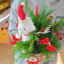 한백초등학교 이미지