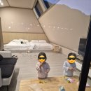 자작자작캠핑장 | [두돌아기여행]가평 자작나무 캠핑장 후기😚