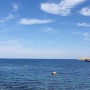 울릉대박펜션 이미지