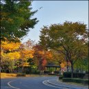 초전초등학교병설유치원 이미지