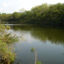 수연목장 이미지