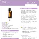 오렌지장 이미지