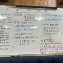바다회산오징어