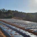 신구농장 이미지