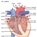 [오늘의 간호퀴즈] 2019년 9월 30일 월요일 이미지