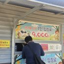 유치1농장 | 강릉 가볼만한곳 강릉 동물농장 데이트코스로도 추천