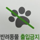 디자인몰 이미지