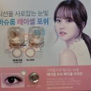 메이플안경원 이미지