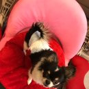 두산당구장 이미지