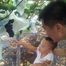 삼덕농장 이미지