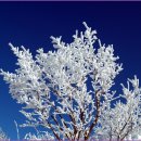 백년약속 이미지