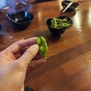 선술집 코코로 | 선술집 코코로 후기