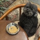 예지사료 이미지