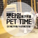 펫타임대구수성레이크점 이미지