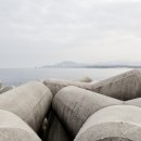 서천소방서-29 이미지