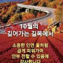 뒤에있다 이미지