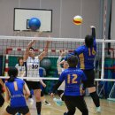 상아배이길 이미지