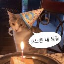 팽PC 이미지
