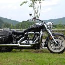 로드스타 이미지