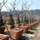 용기농장 이미지