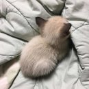 작고 소중해 이미지