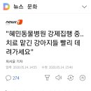 혜민동물병원 강제 집행중 이미지