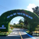 2024 청정완도 가을 섬여행 이미지