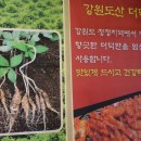 더덕솥뚜껑삼겹살서문점
