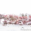 근원농장 이미지