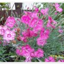 한뫼마루 이미지