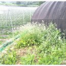 문경새재황토민박 이미지