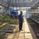 송학보건지소 이미지