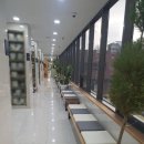 납골당 추천+크리스찬 메모리얼 파크 후기