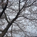 괴강 국민여가캠핑장 이미지