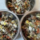 별별강아지 이미지