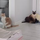 제9구경길 신선만나러가는길 | Be careful not to catch a cold