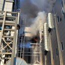 한미모터스 이미지