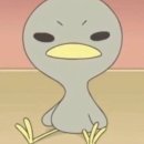 청춘담아 이미지