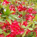 부평공원 이미지