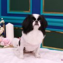 아콩하우스 이미지