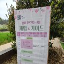 고창 필수 여행지, 상하농원｜아이들과 가기 좋은 체험형 여행지