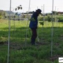 마룡농장 이미지