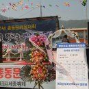 영춘초등학교 이미지