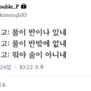 유나포차 네이버블로그