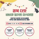 대가야농촌문화체험특구 캠핑장 이미지