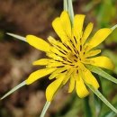 화원농장1 이미지