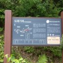 김삿갓면-10 Daum카페